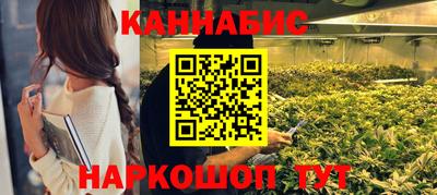 apvp Партизанск
